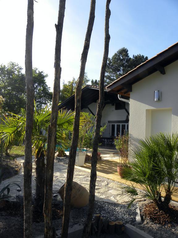 Villa Mogador Piscine Et Balneo Andernos-les-Bains Exterior photo